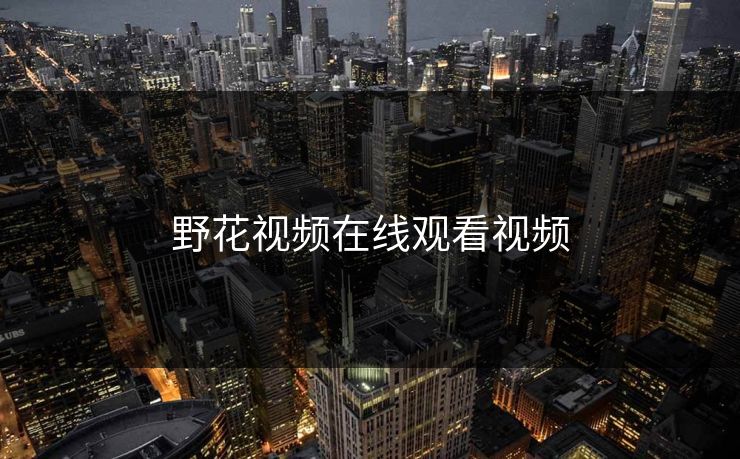 野花视频在线观看视频