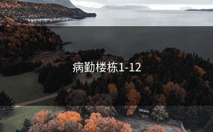 病勤楼栋1-12