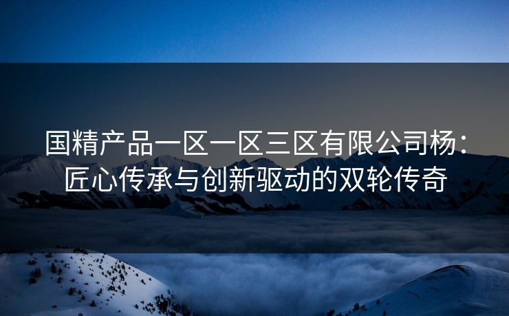 国精产品一区一区三区有限公司杨：匠心传承与创新驱动的双轮传奇
